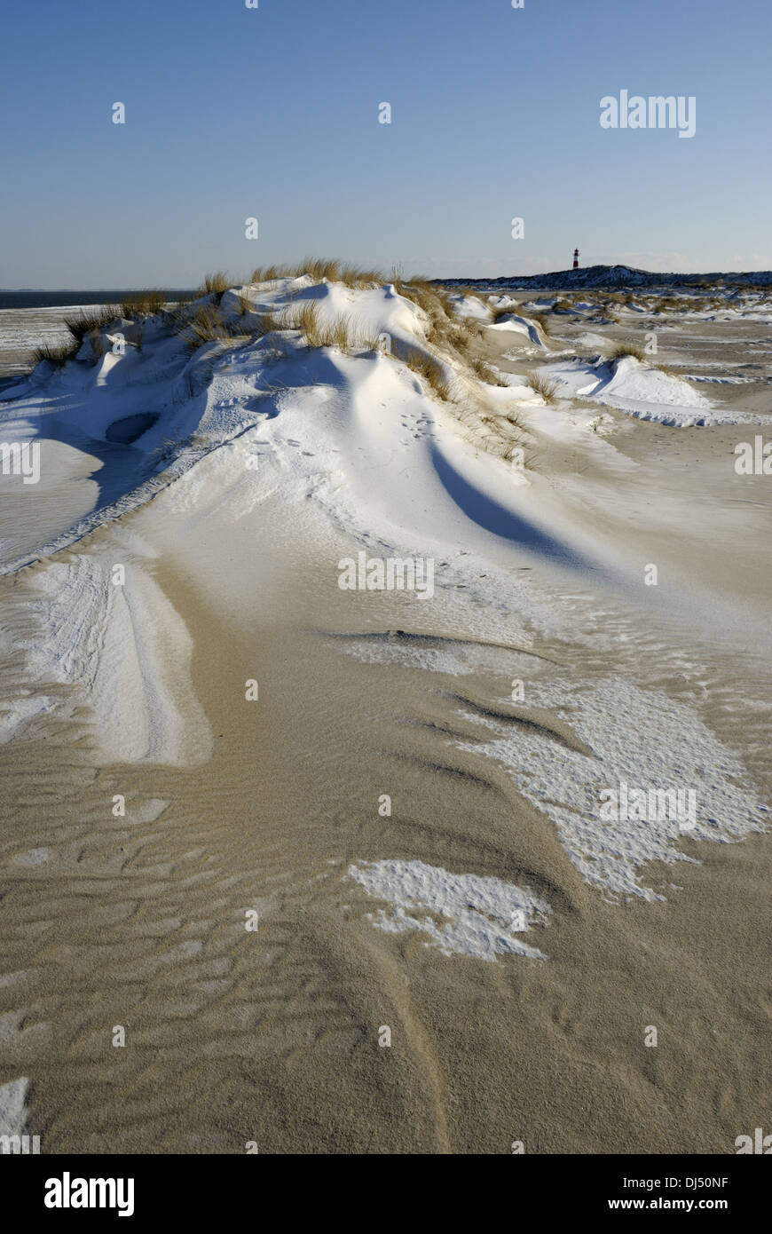 Sanddunes on Sylt Stock Photo