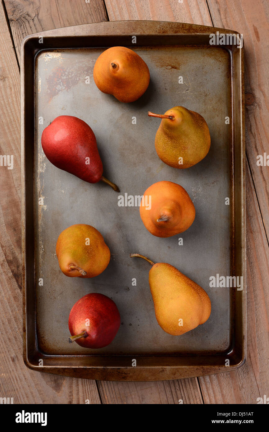 A group of Bosc and Red Pears on a baking sheet. Overhead view, vertical format. Stock Photo