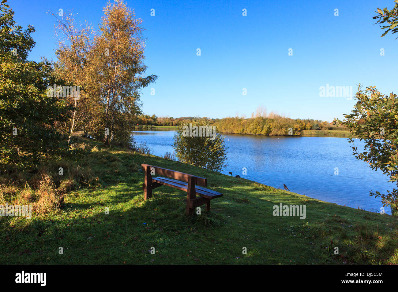 A view across the lake in low winter sun at Branston Water Park, near Burton  upon Trent, Staffordshire, UK Stock Photo - Alamy