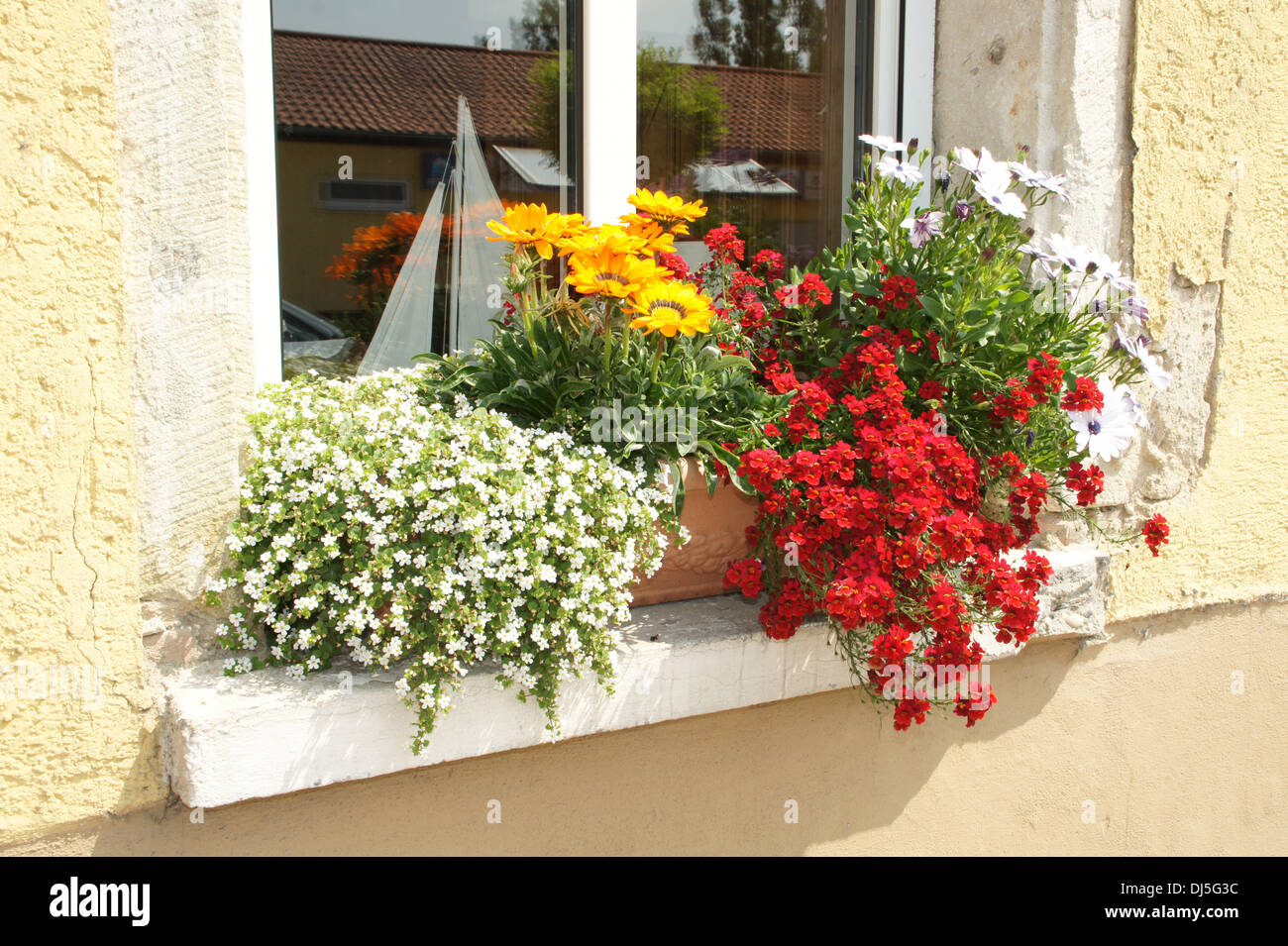 Perennial plants hires stock photography and images Alamy