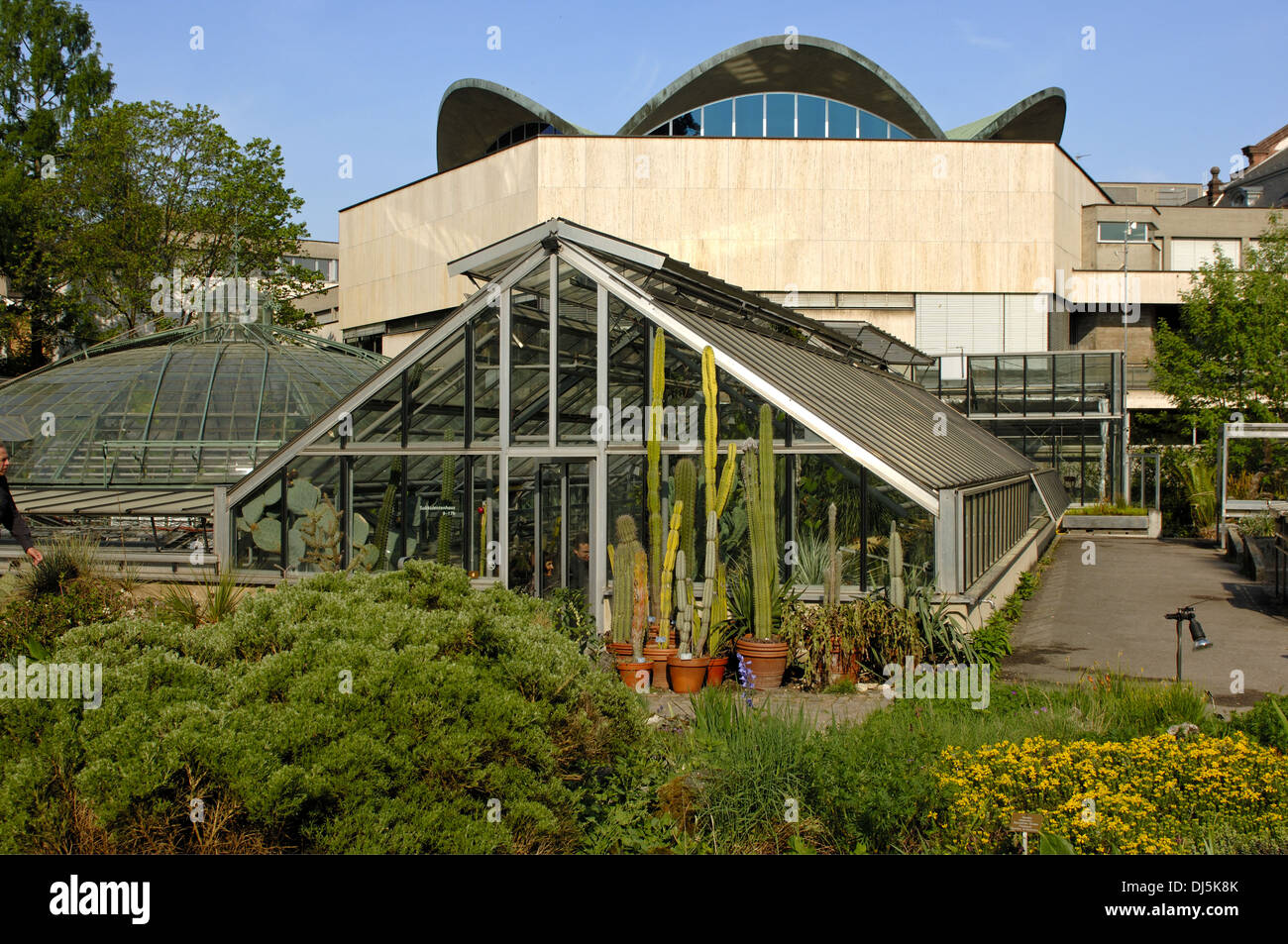 Botanical Garden Basel, Basle, Switzerland Stock Photo