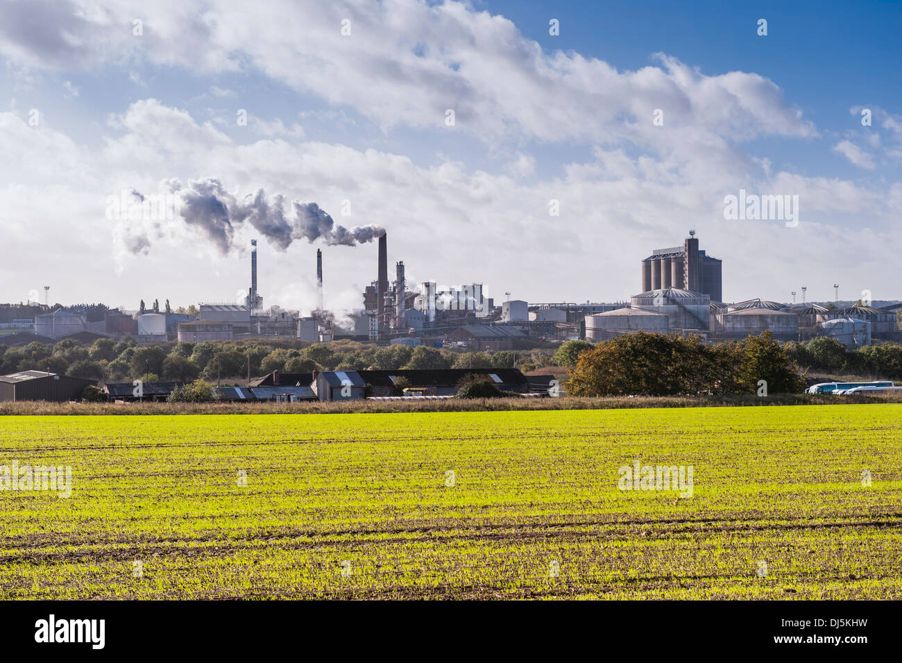 Uk sugar beet hires stock photography and images Alamy