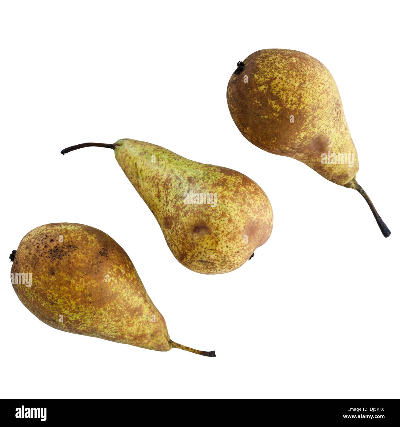 Three conference pears on a white background Stock Photo