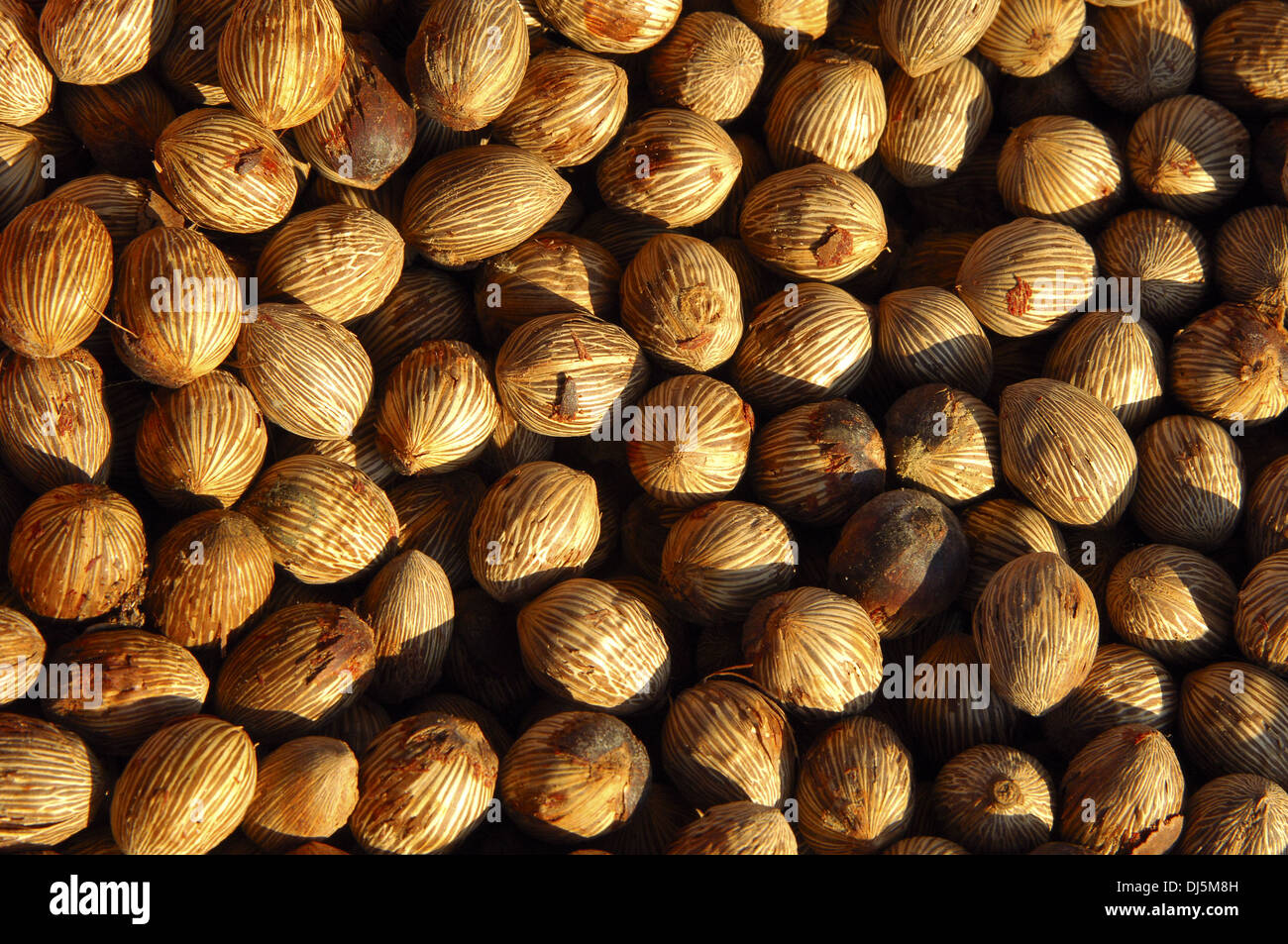 Dried fruits, Oil palm Stock Photo