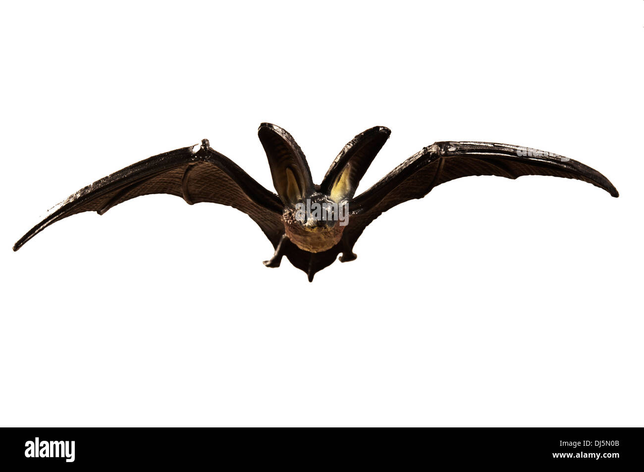 Plastic bat hires stock photography and images Alamy