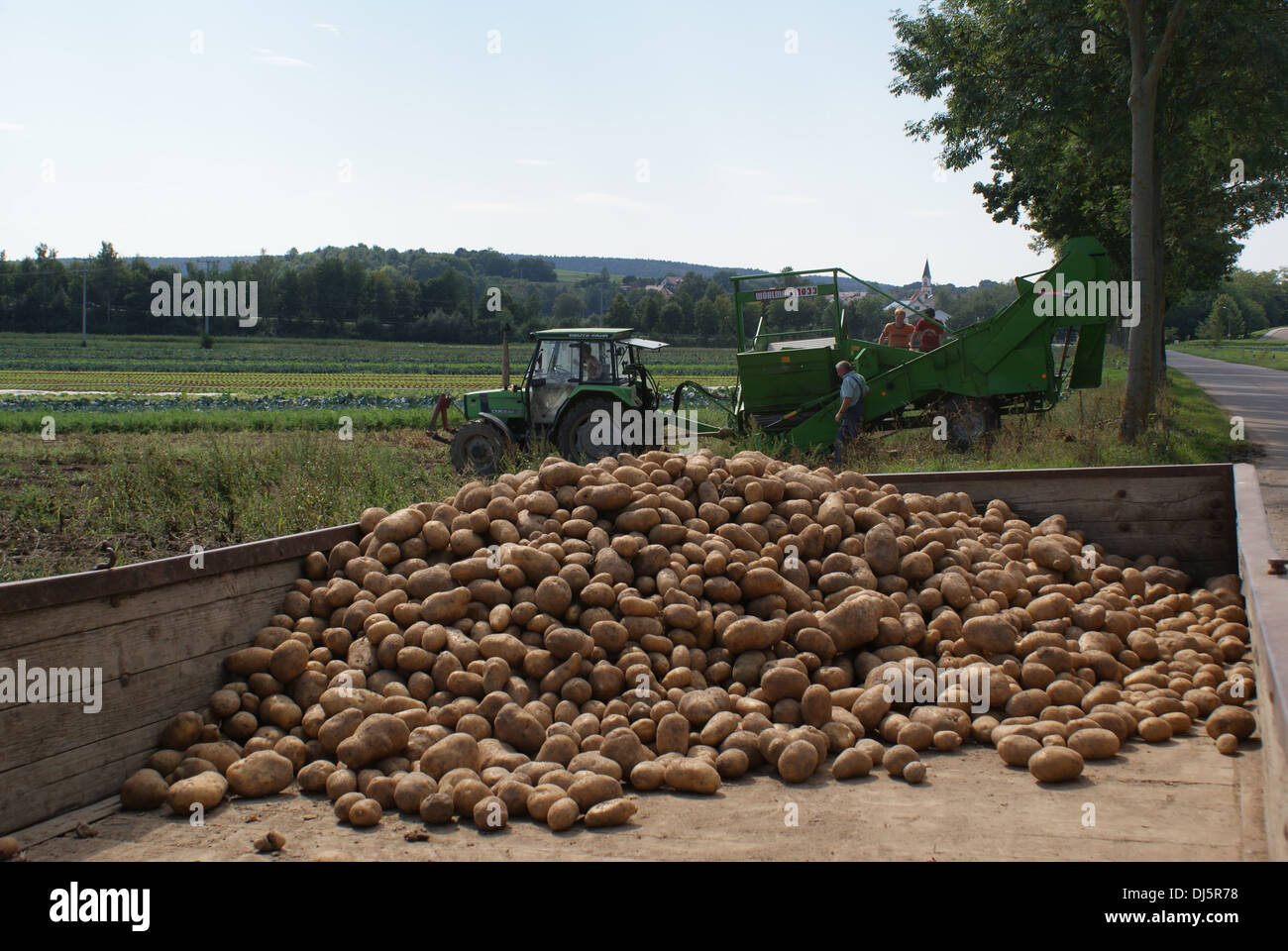 Kartoffel ernte hi-res stock photography and images - Alamy