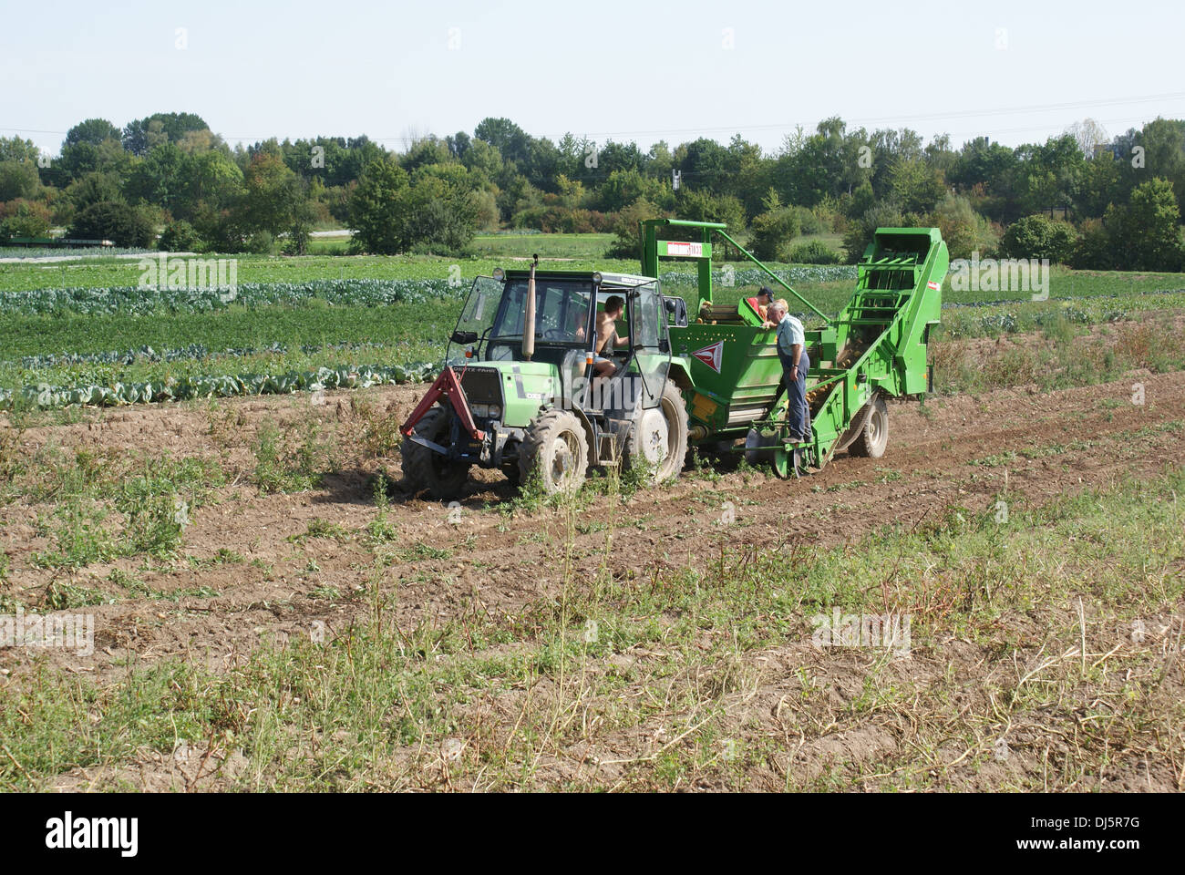 Kartoffeln Ernten High Resolution Stock Photography and Images - Alamy