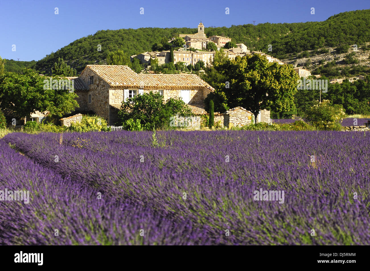 Banon, Provence, France Stock Photo