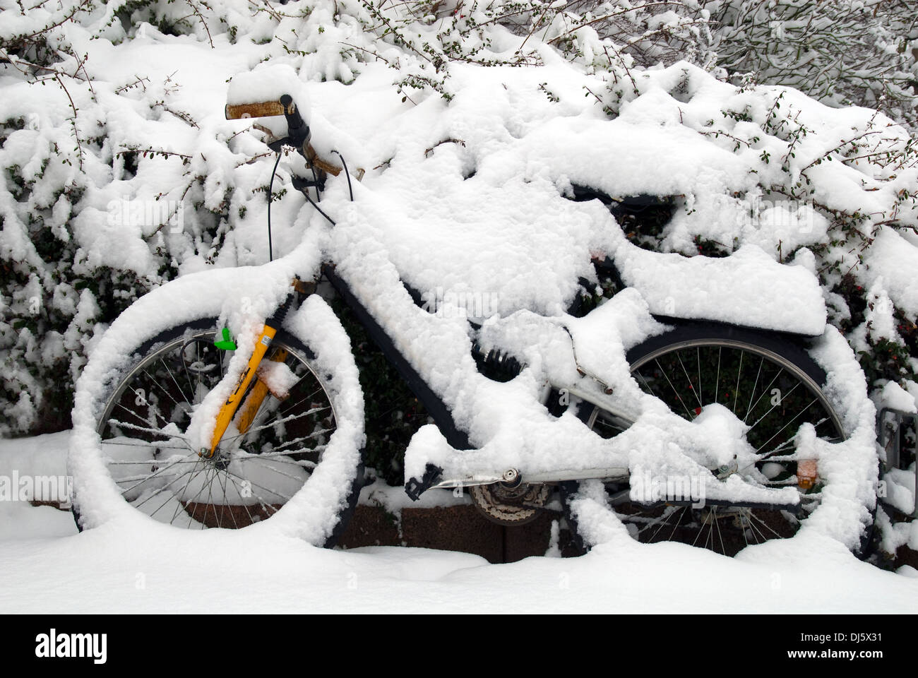bike in winter Stock Photo Alamy