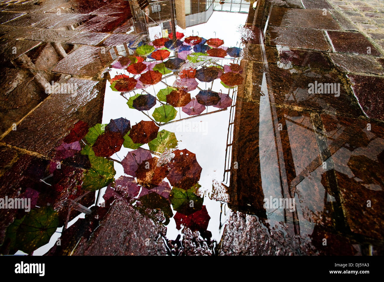 Reflections of umbrellas in a pavement puddle, London, England, UK