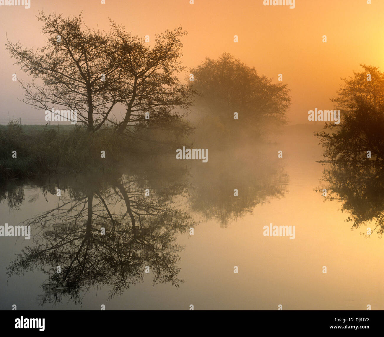 Dawn at River Wey near Guildford, Surrey, England, UK. Stock Photo
