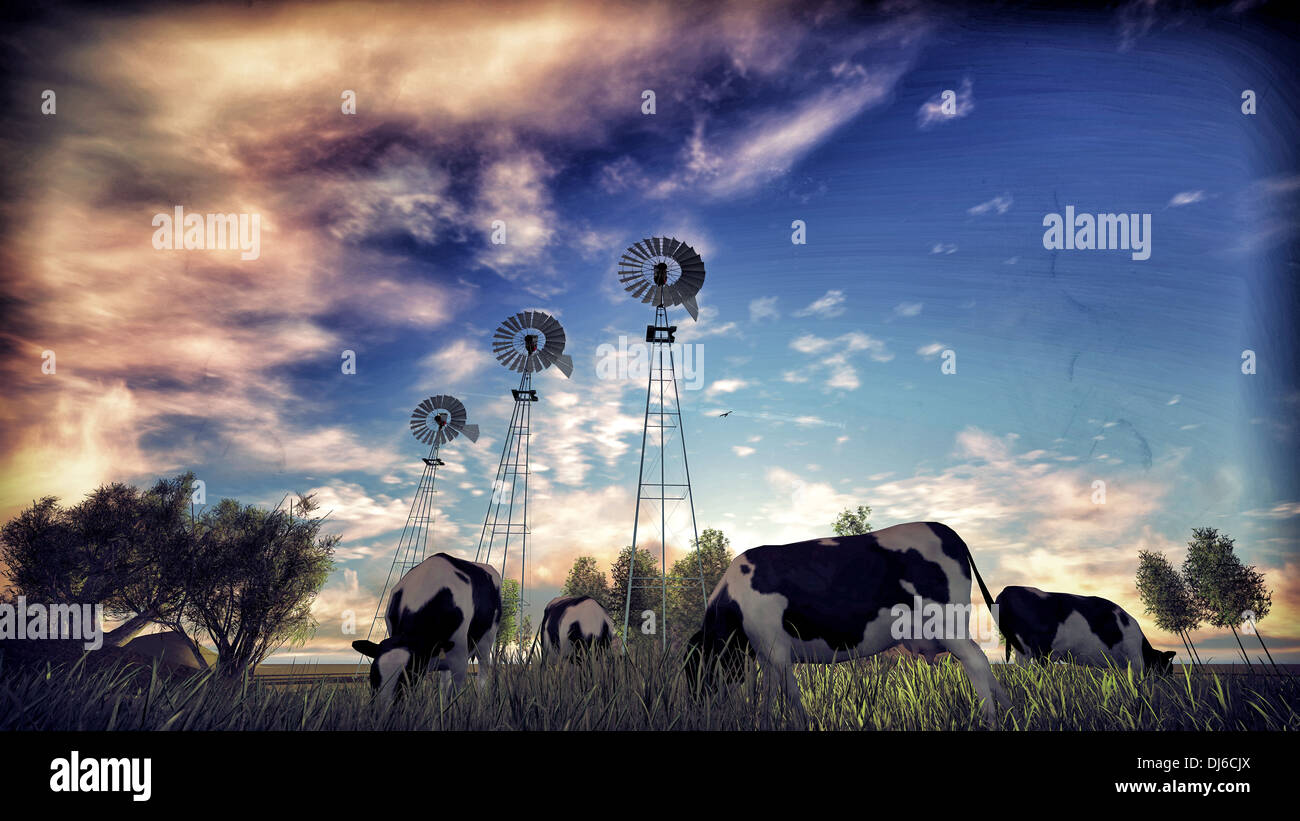 grazing cows in a farm Stock Photo - Alamy
