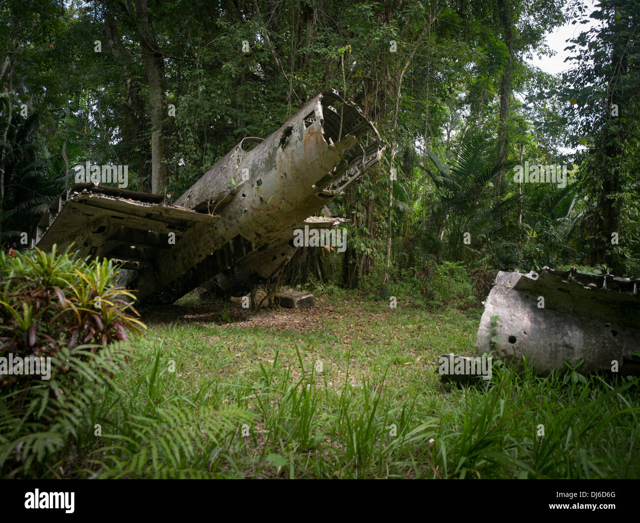 Japanese WWII Bomber Wreckage near Madang, Papua New Guinea Stock Photo