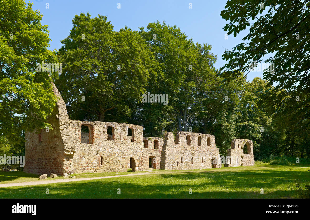 Ruined Abbey Nimbschen, Saxony, Germany Stock Photo