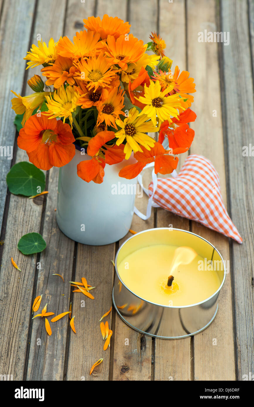 Marigolds in a pot hires stock photography and images Alamy