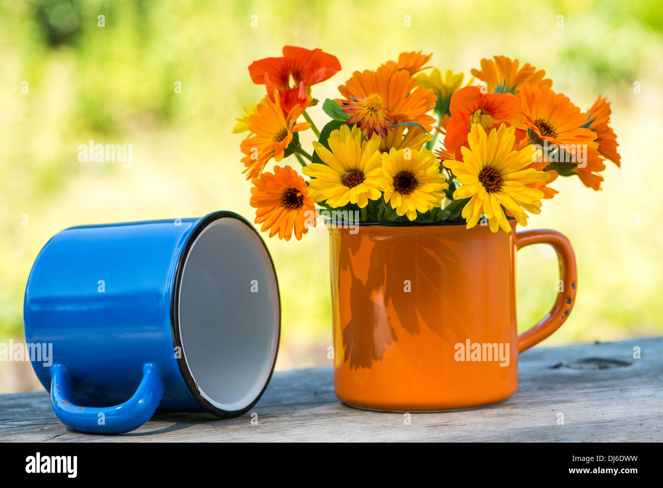 Nasturtiums and pot marigolds hires stock photography and images Alamy