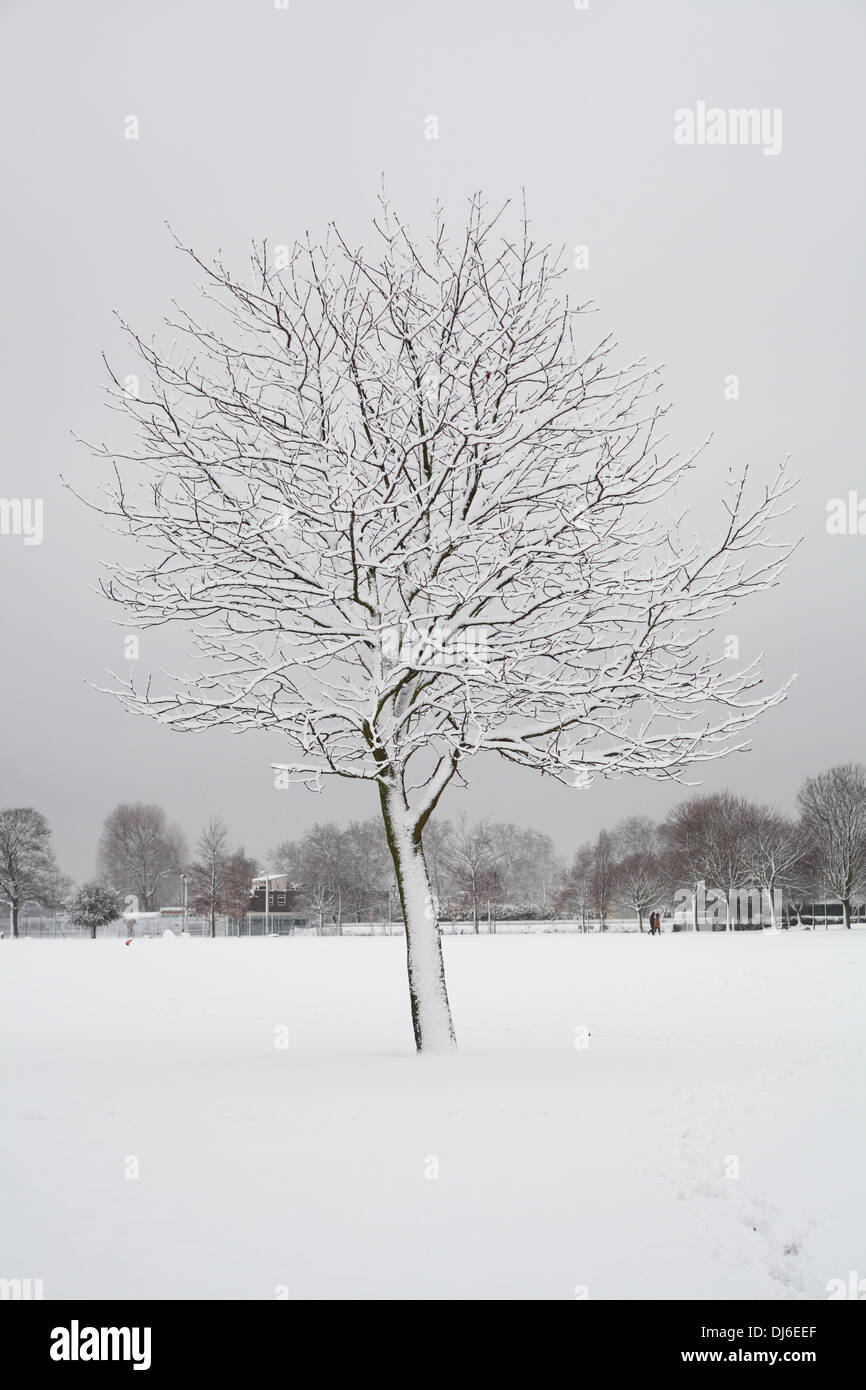 winter scene in hackney downs park east London Stock Photo