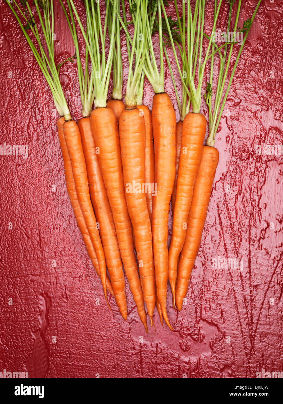 Bunch of juicy orange organic carrots on red background, artistic food still life Stock Photo