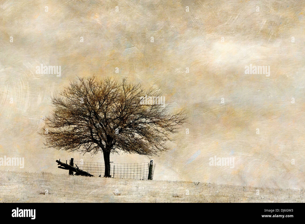 Usa indiana rural landscape hi-res stock photography and images - Alamy