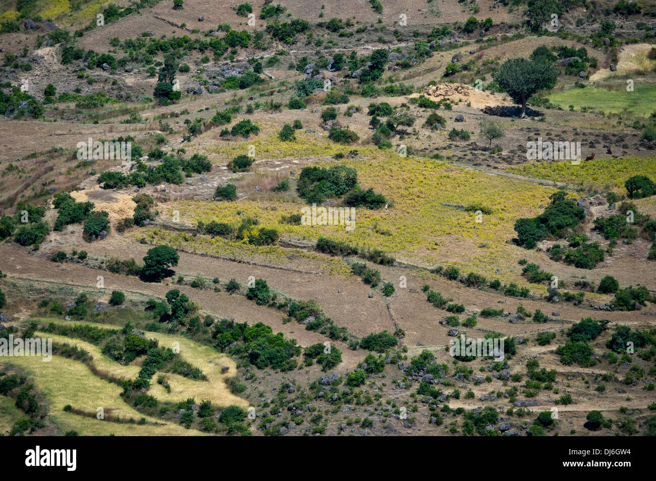 Country landscape in the Ethiopian Rift valley Stock Photo - Alamy