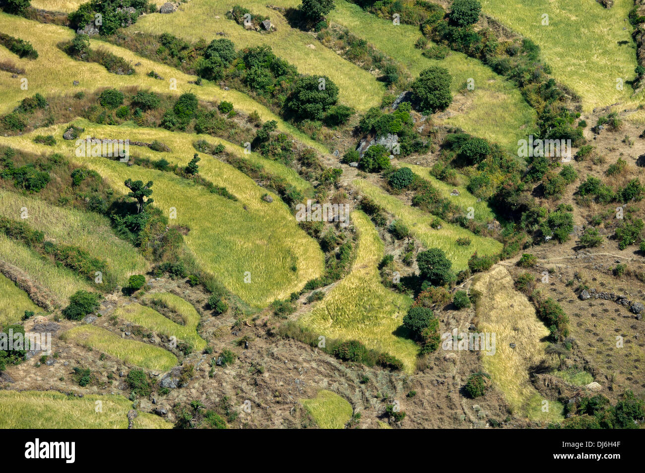 Country landscape in the Ethiopian Rift valley Stock Photo - Alamy