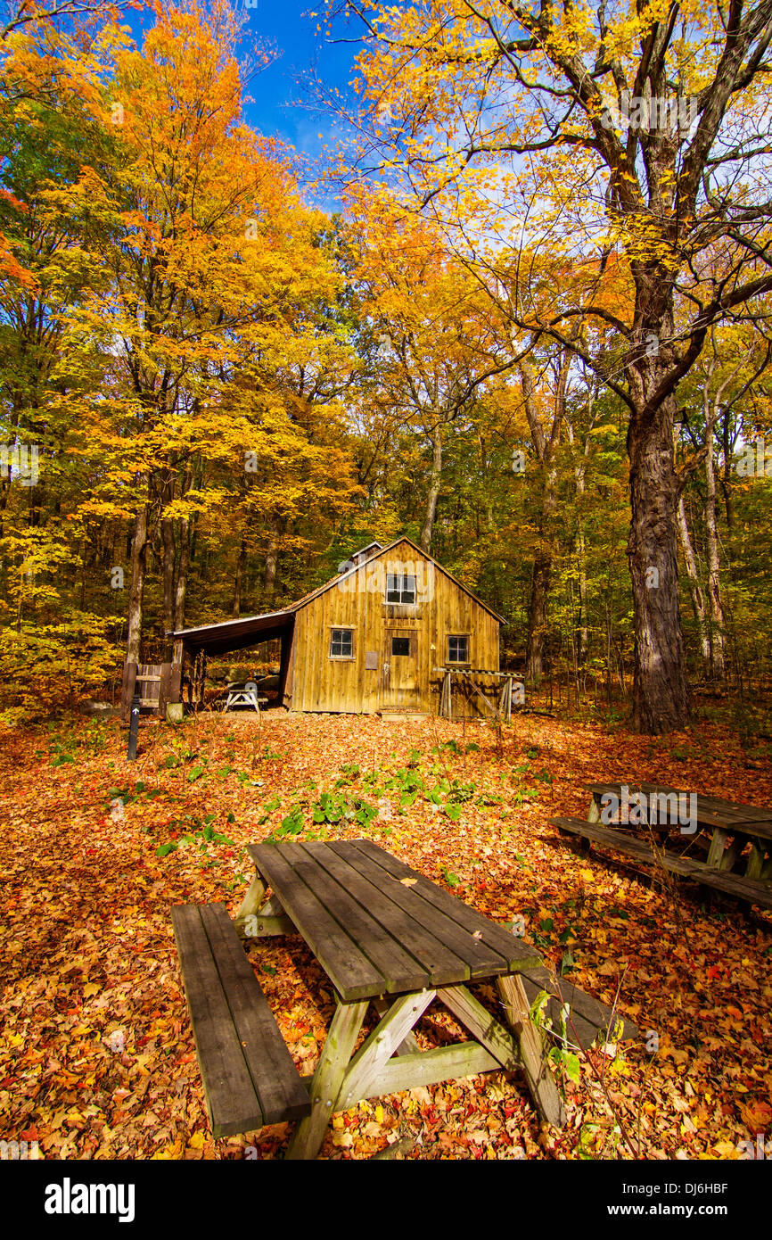 Sugar shack (where maple syrup is made) in QuebecCanada during the