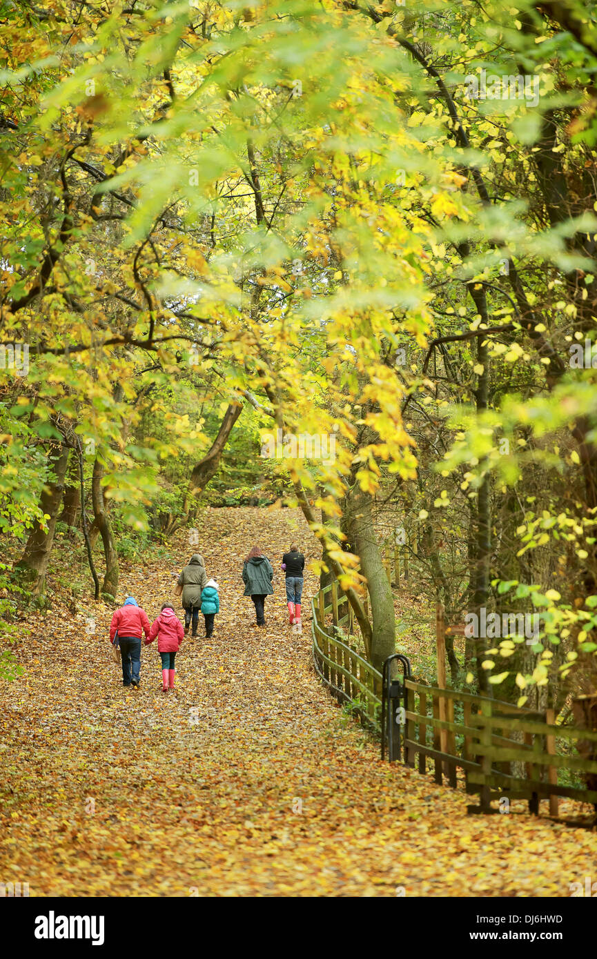 A family walk through a forest in Autumn Stock Photo - Alamy