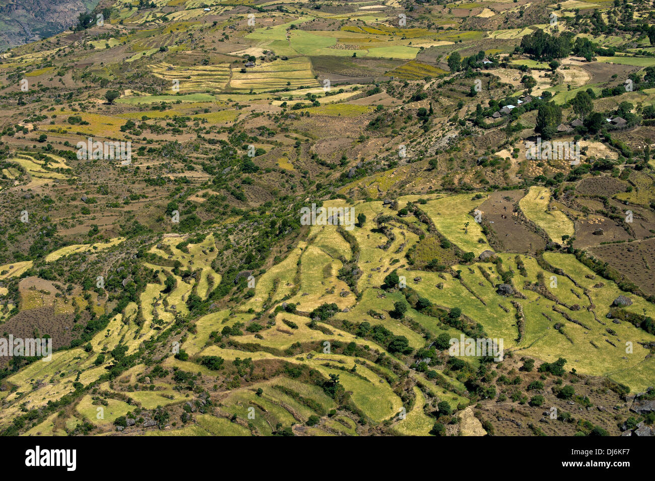 Country landscape in the Ethiopian Rift valley Stock Photo - Alamy