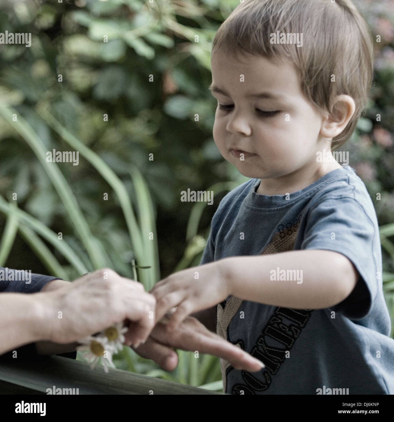 Two Year Old Boy Interacting with His Grandmother Outdoors Stock Photo