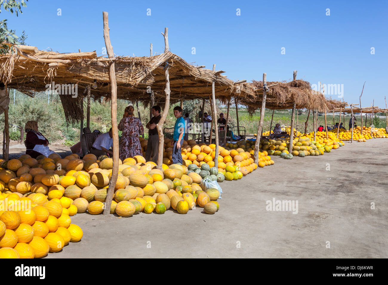 Melons for sale in an outdoor market, Shabboz, Beruniy District, near Urgench, Uzbekistan Stock Photo