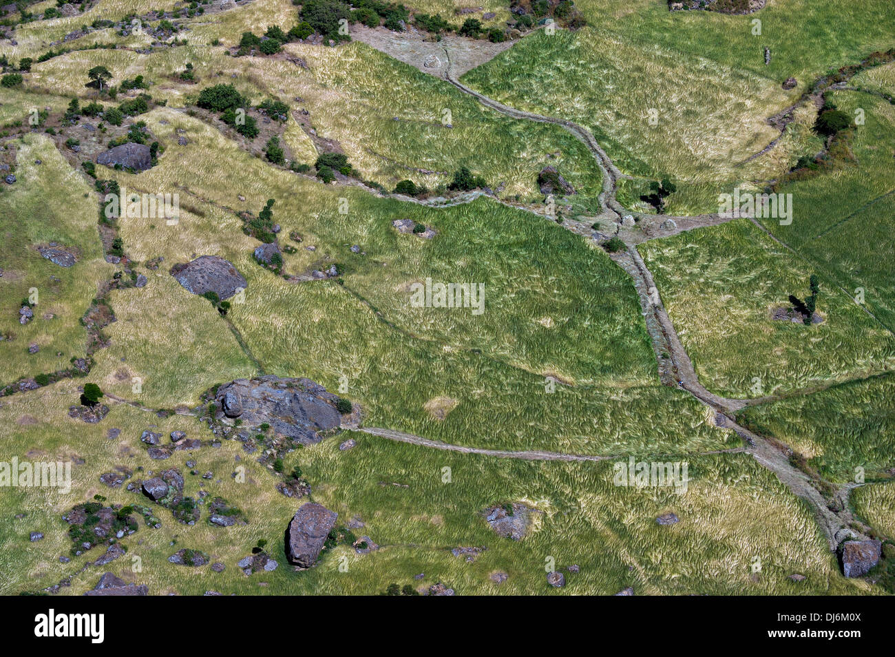 Country landscape in the Ethiopian Rift valley Stock Photo - Alamy