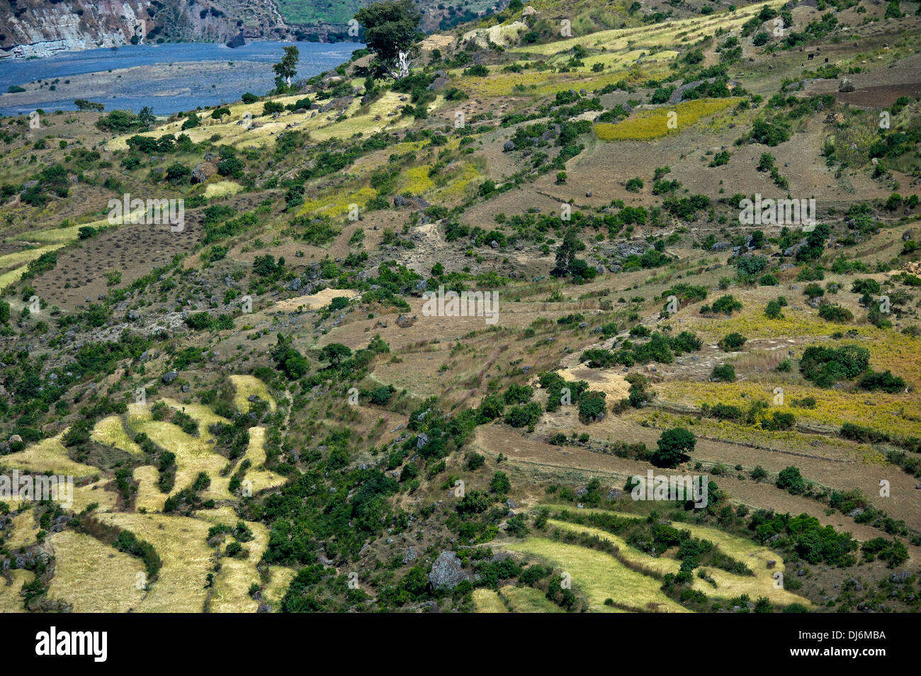 Country landscape in the Ethiopian Rift valley Stock Photo - Alamy