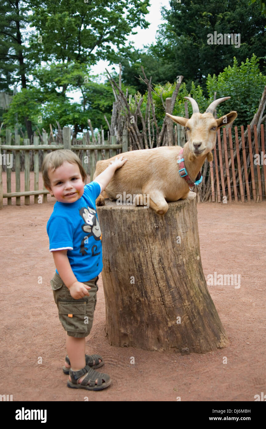 Petting zoo hi-res stock photography and images - Alamy Petting zoo hi-res stock photography and images - Alamy