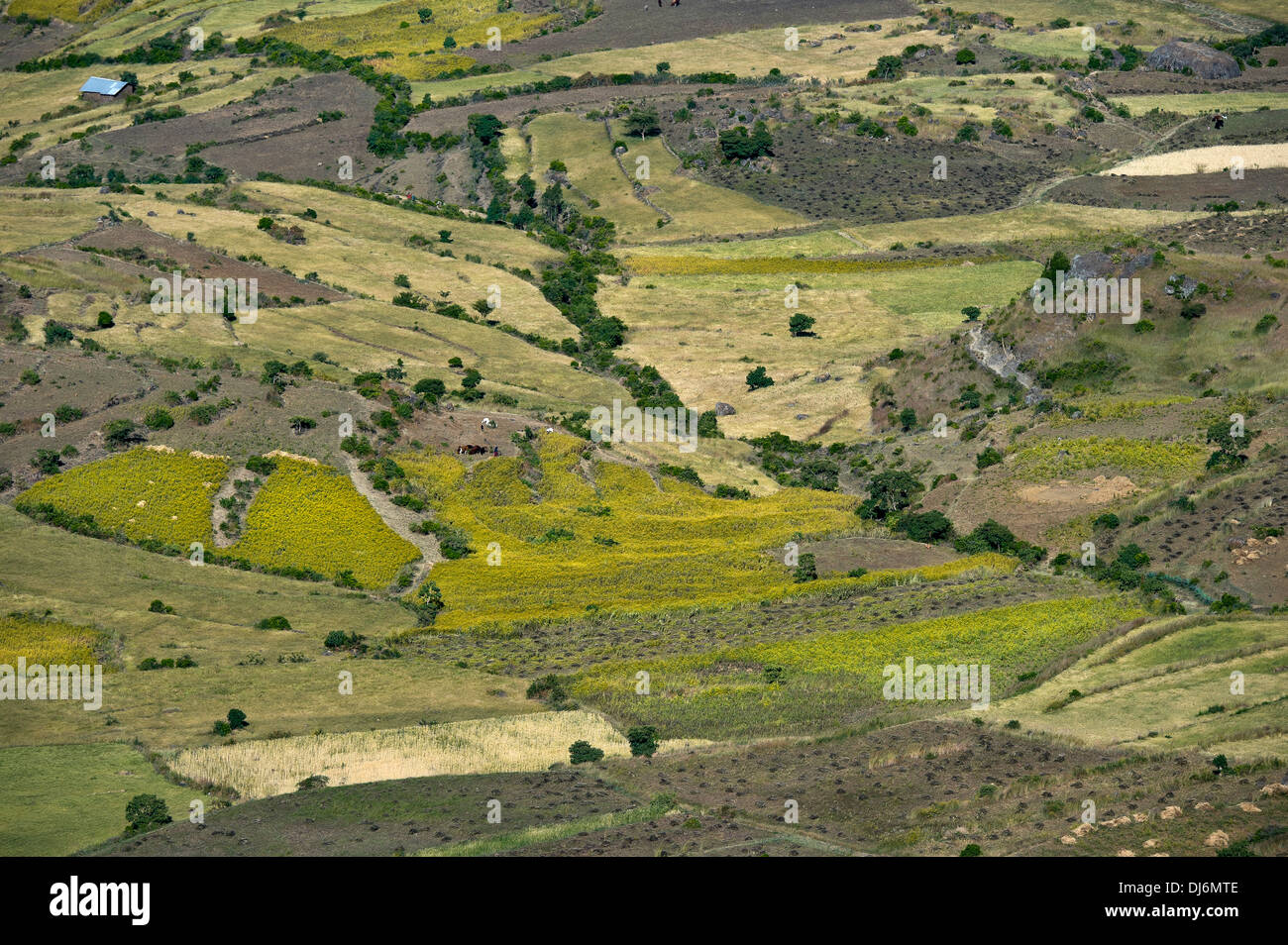 Country landscape in the Ethiopian Rift valley Stock Photo - Alamy