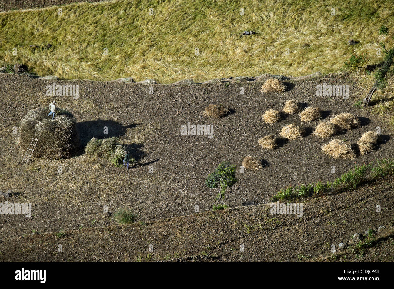 Country landscape in the Ethiopian Rift valley Stock Photo - Alamy