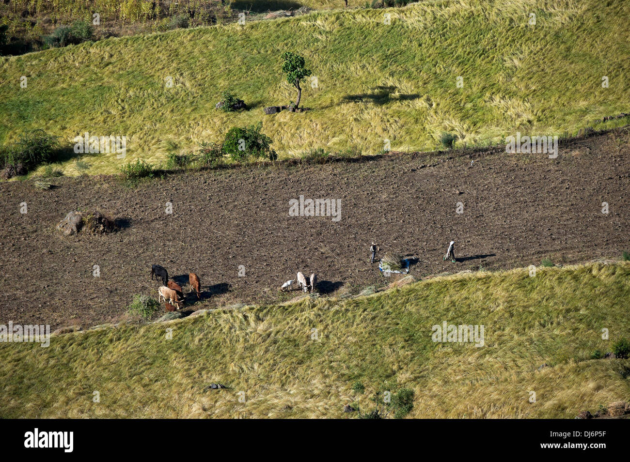 Country landscape in the Ethiopian Rift valley Stock Photo - Alamy