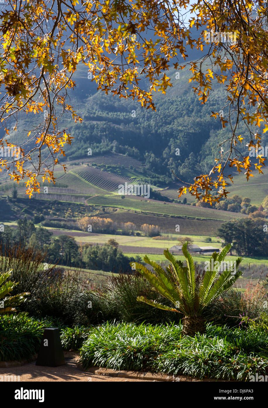 South Africa, Fall Scenery near Stellenbosch Stock Photo Alamy
