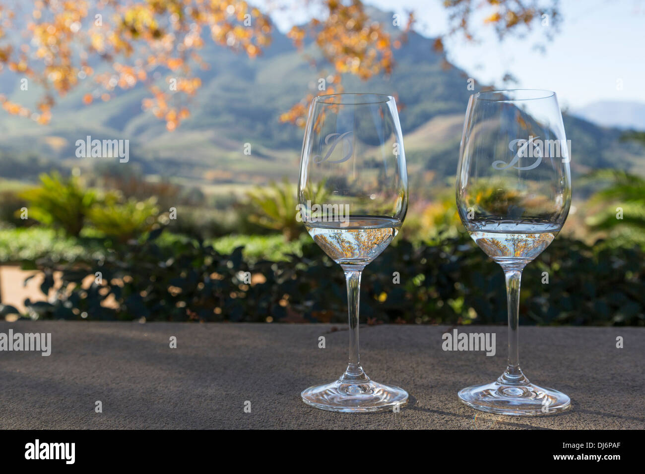 South Africa. Wine Tasting, Delaire Graff Estate Winery, near Stellenbosch. Focus on Foreground. Stock Photo
