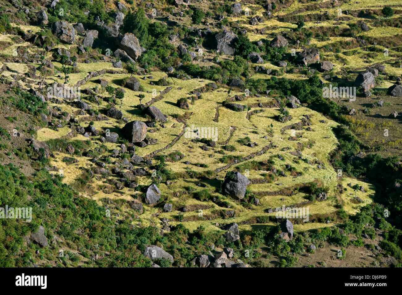 Country landscape in the Ethiopian Rift valley Stock Photo - Alamy
