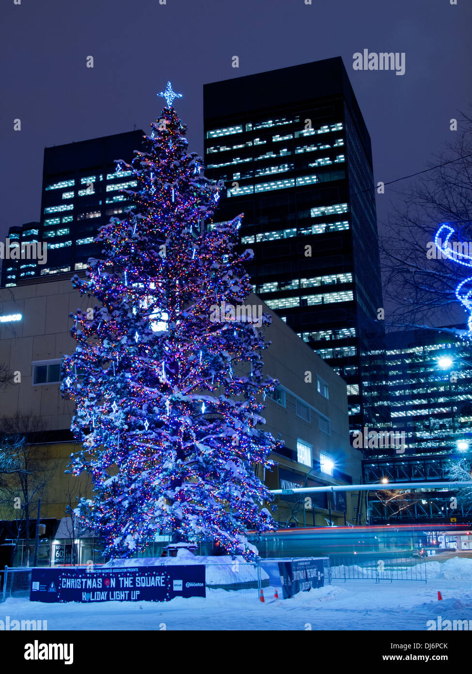 City of edmonton christmas tree hires stock photography and images Alamy