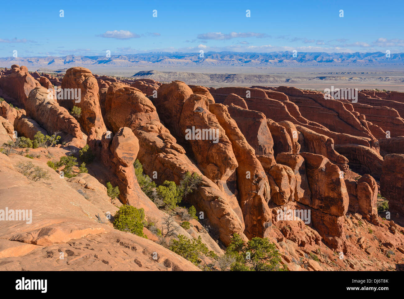 Sandstone Fins, Rock formations, Devils Garden, Arches National Park, Utah, USA Stock Photo