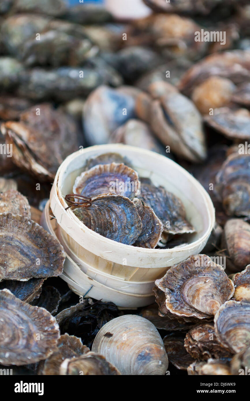Oysters For Sale At Borough Market; London, England Stock Photo Alamy