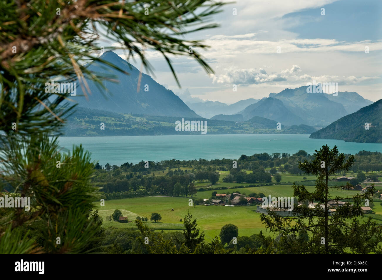 Europe. Switzerland, Canton Bern. Bernese Oberland, Thunersee. Stock Photo