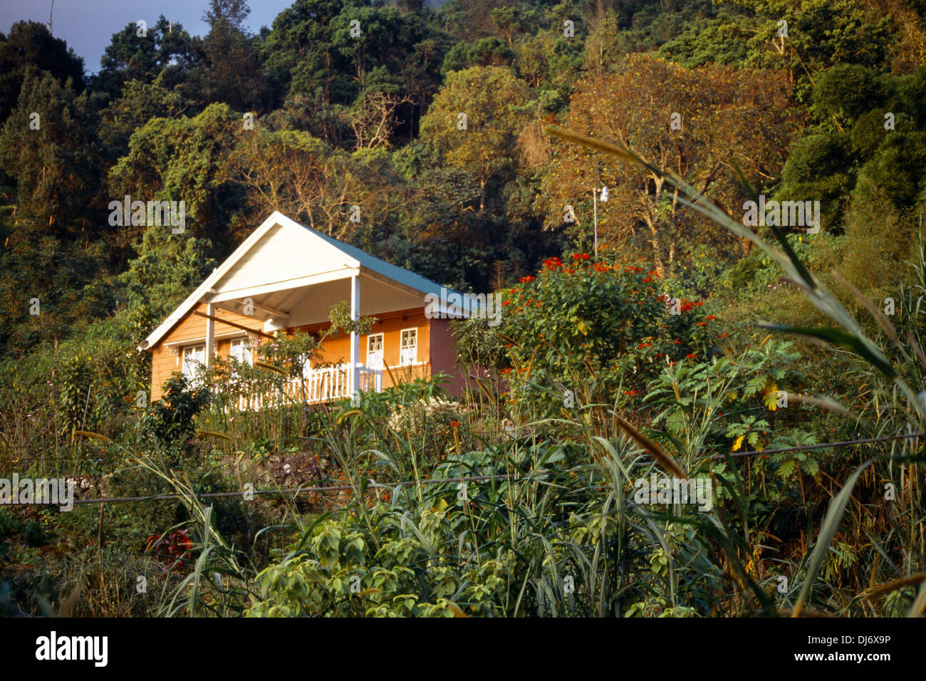 Blue Mountains Jamaica House In Newcastle Area Inspiration Strawberry