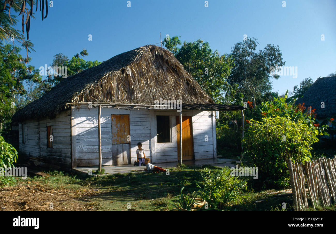 Cienfuegos Province Cuba Rural Home Thatched Roof Stock Photo