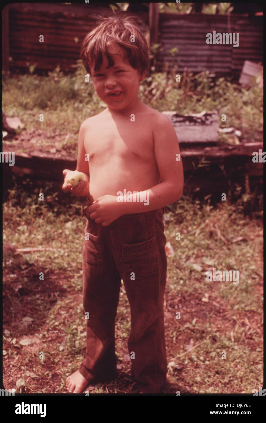 GARY MCKENNY, 5, SON OF A MINER, EATS A GREEN APPLE IN RHODELL WEST VIRGINIA, NEAR BECKLEY. THERE IS LITTLE INDUSTRY . 558 Stock Photo