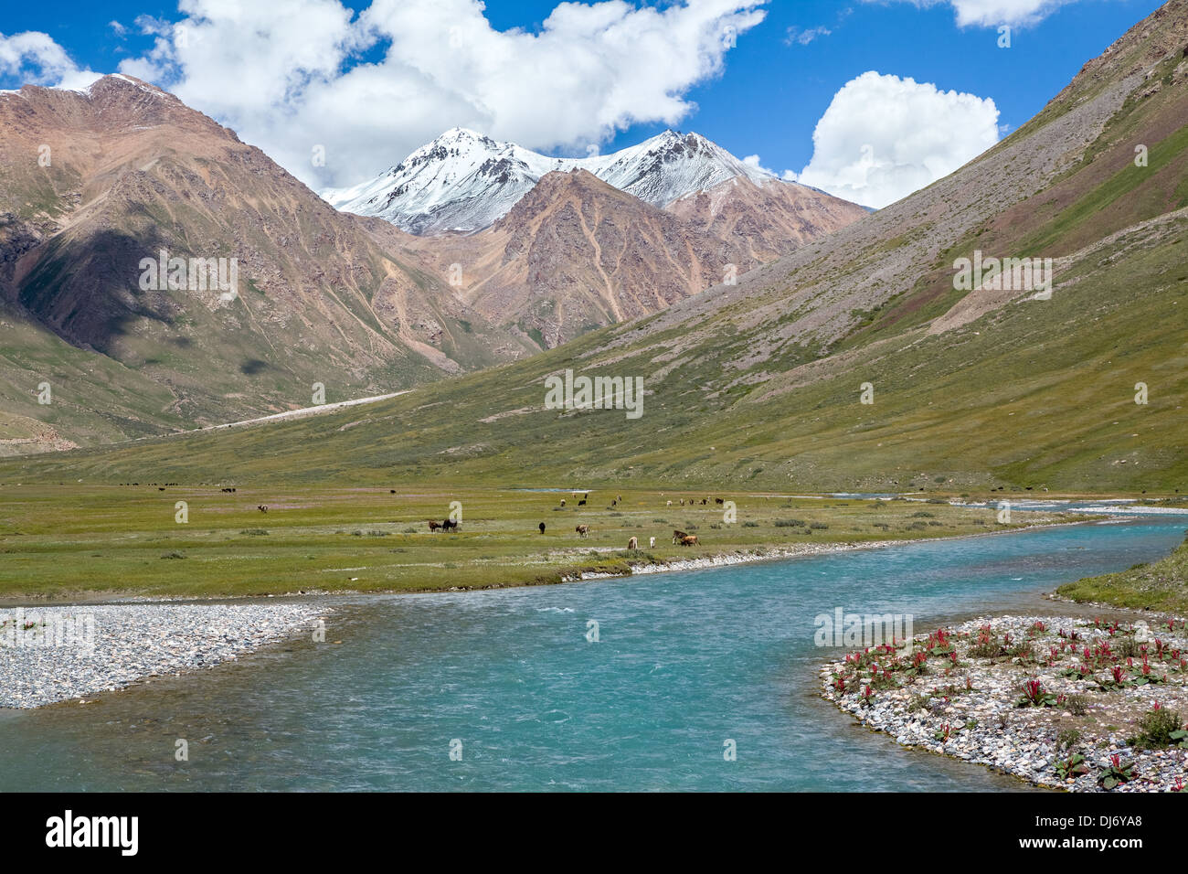 Majestic turquoise river in Tien Shan mountains Stock Photo