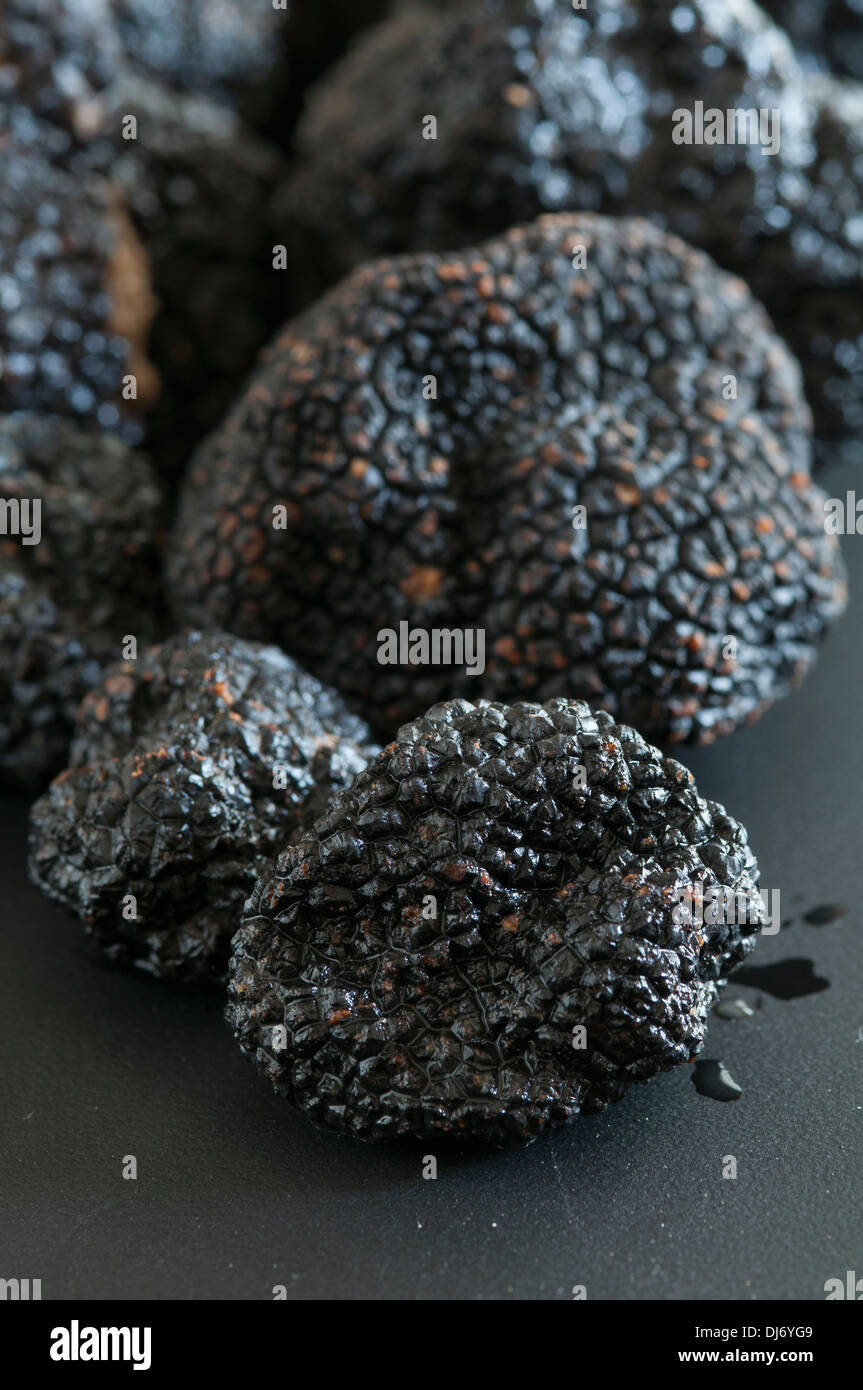 Black truffle hires stock photography and images Alamy