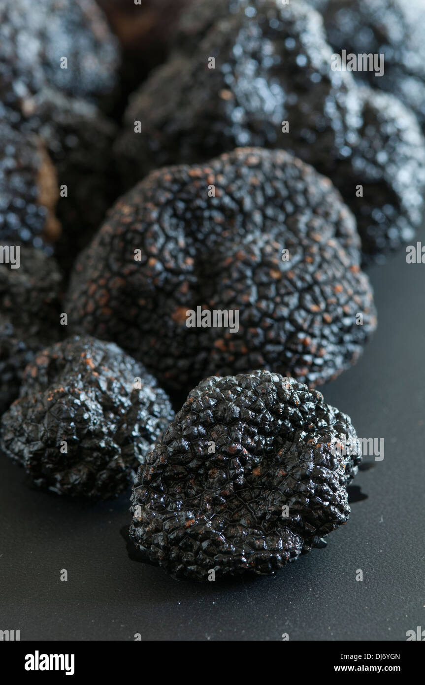 Black Périgord Truffles grown in North Carolina. divine, aromatic and