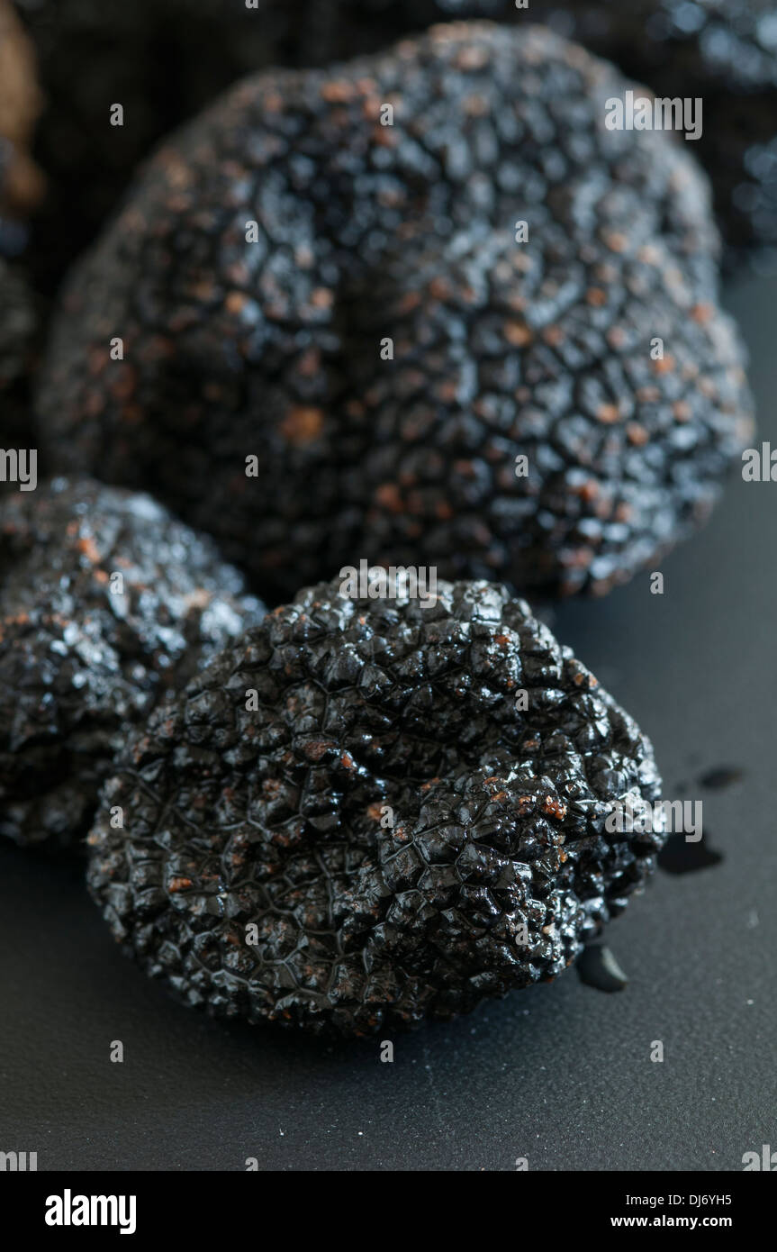 Black Périgord Truffles grown in North Carolina. divine, aromatic and